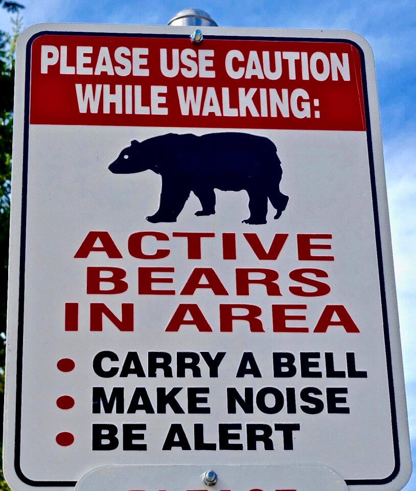 Bear icon danger risk