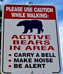 Bear icon danger risk