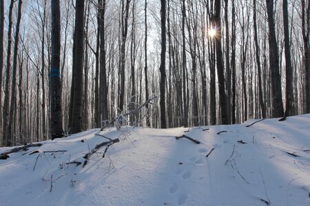 Spacer snow poland