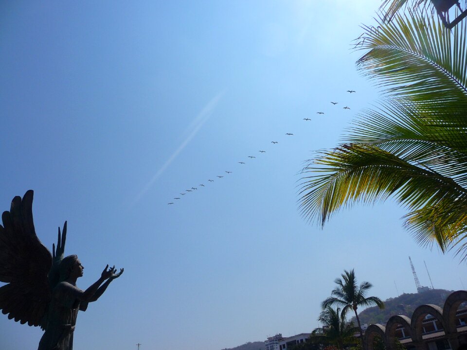 Angel of hope messenger of peace sculpture sculpture on the malecon