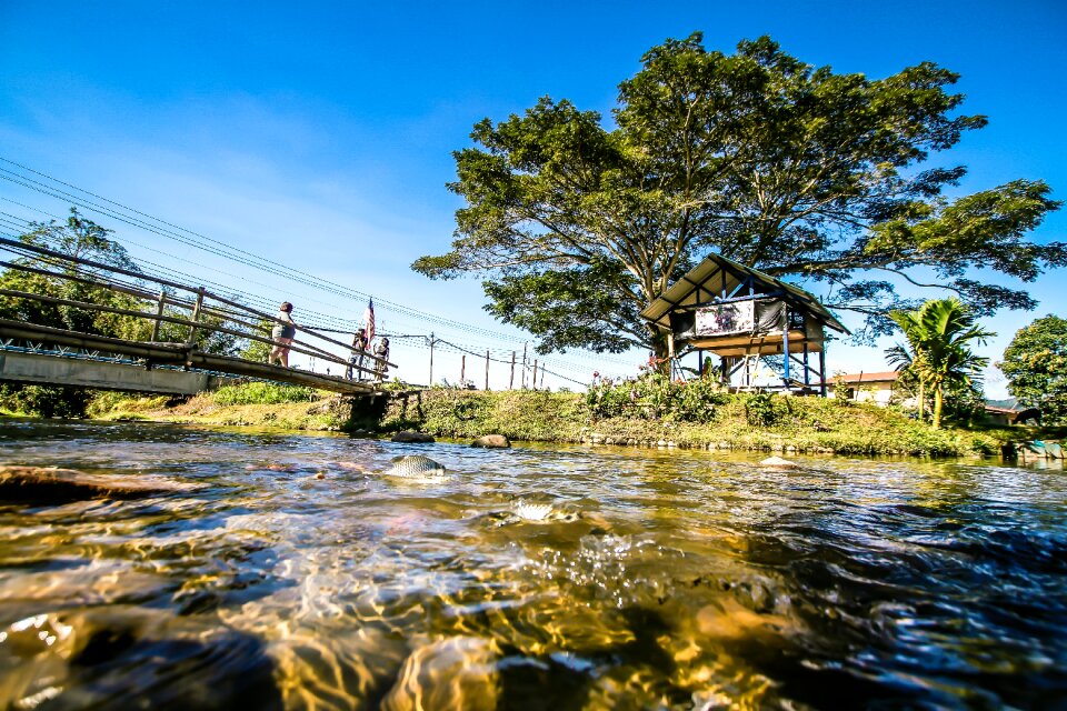 Nature eco ecology