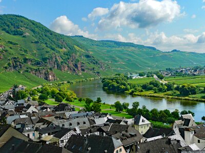 Germany wine vineyards