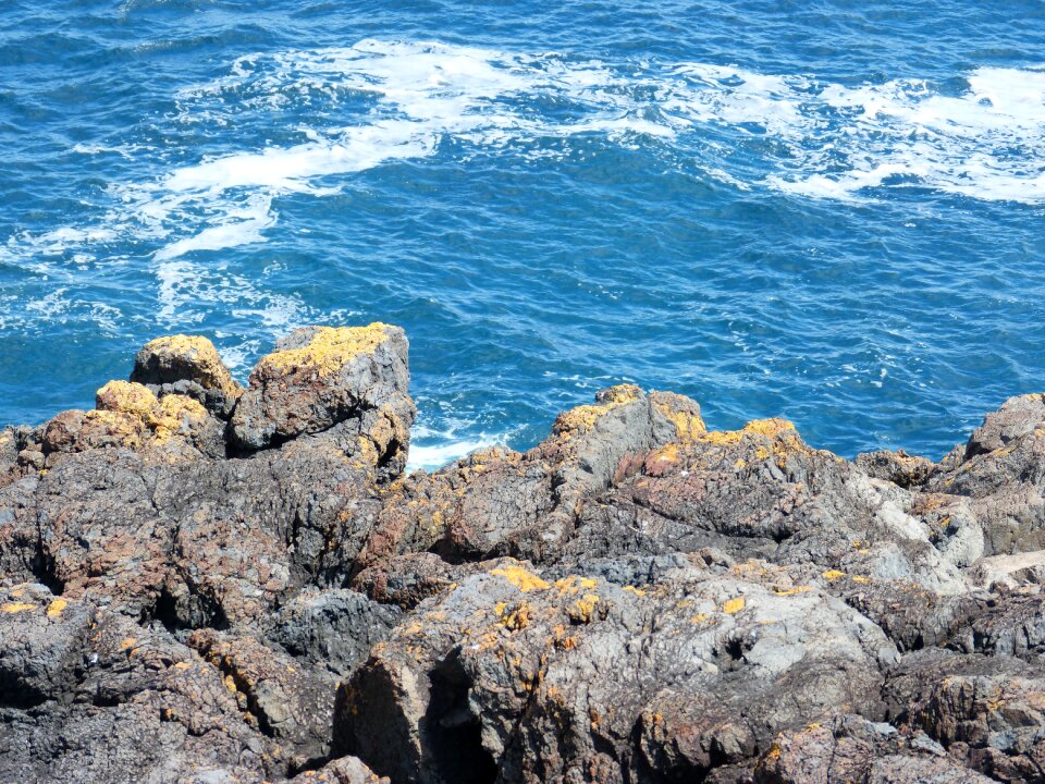 Landscape australia ocean photo