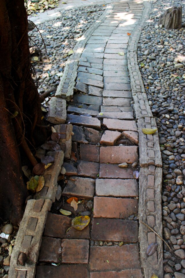 Landscape lane landscaping