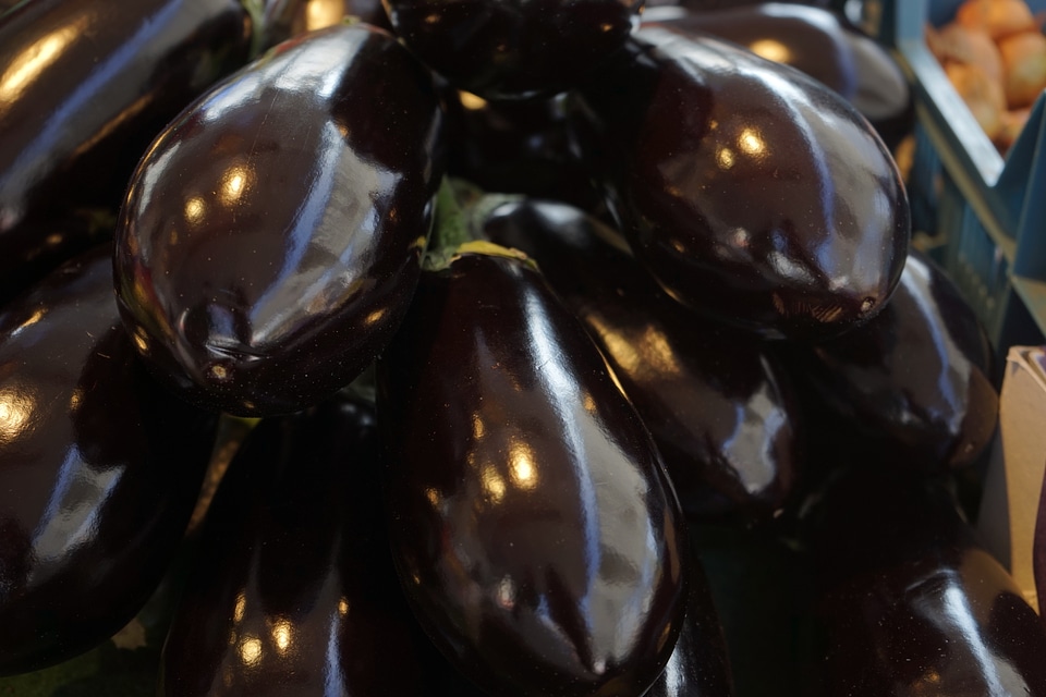 Melanzana nightshade solanum