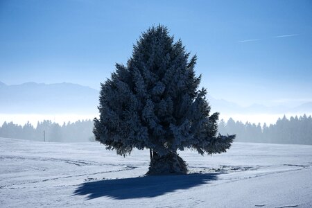 Snow wintry landscape photo