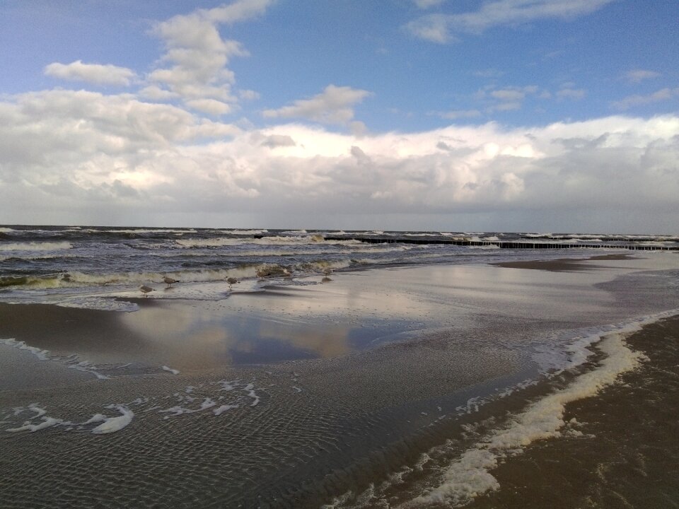 Beach water nature