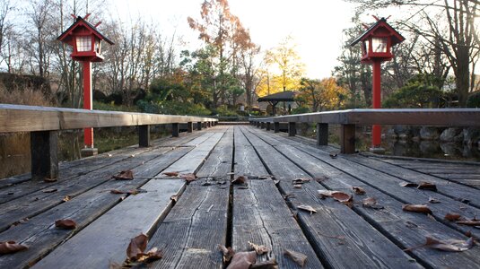 Wooden bridge pond boardwalk