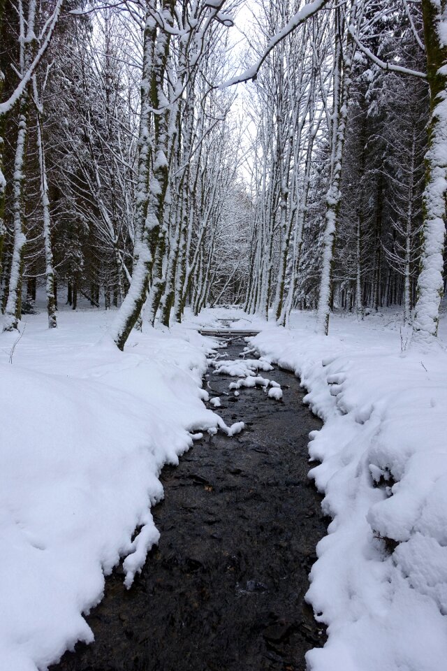 Landscape snow snowy trees river