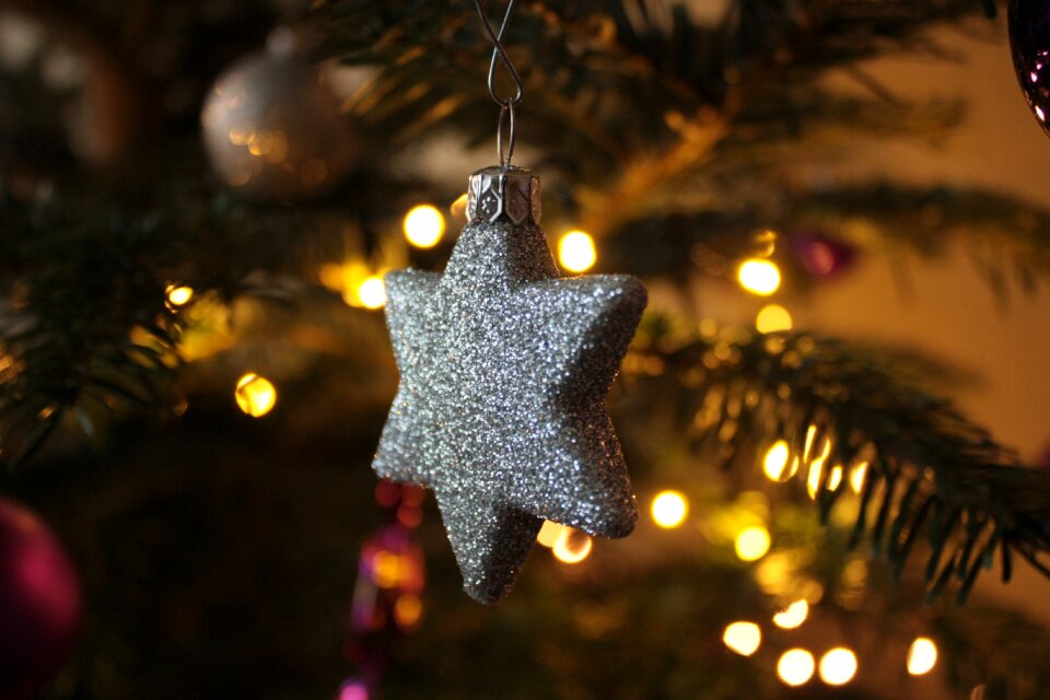 Xmas holiday celebration