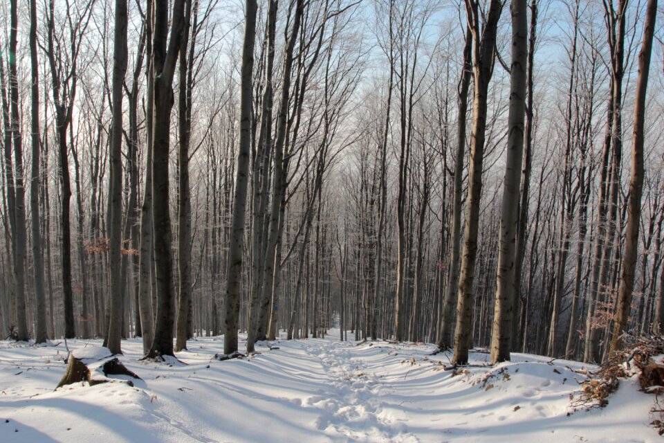 Spacer snow poland