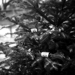 Film analog photography