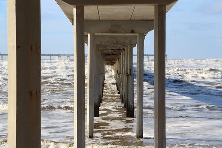 Scene landscape ocean
