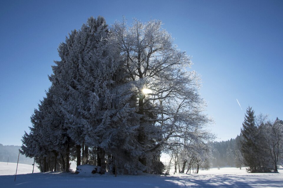 Wintry winter cold