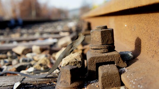 Rails s bahn metal photo