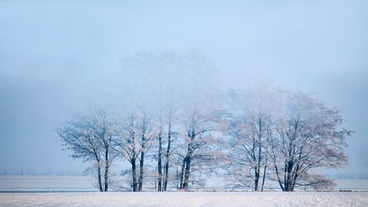 Snow cold frost photo