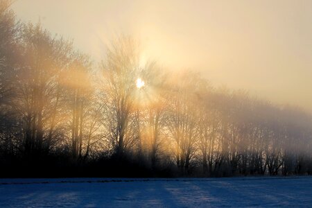 Foggy sunbeam morgenstimmung photo
