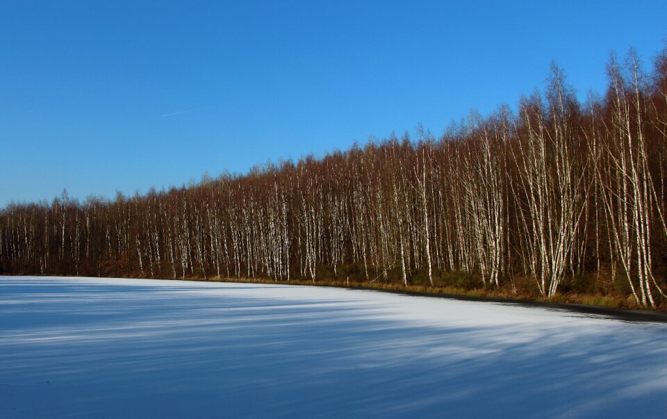 Winter ice snow photo