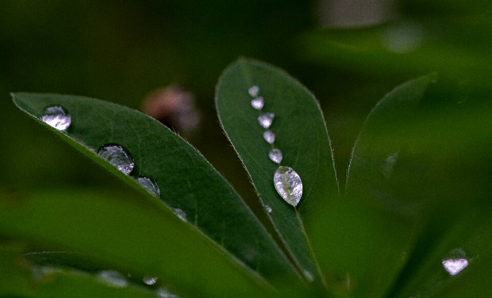 Clear liquid aqua