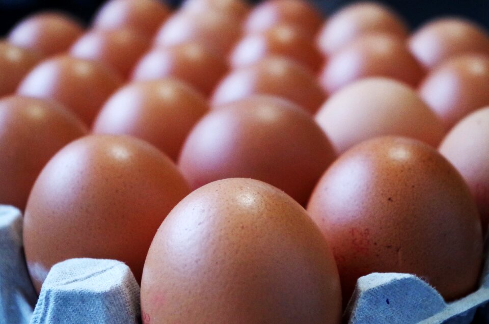 Container egg white yolk