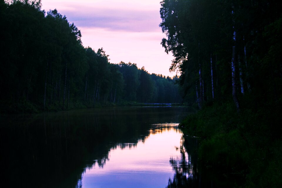Trees water landscape