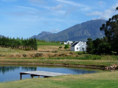 Wine wine region africa