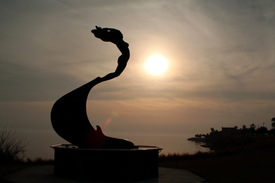 Silhouette cole park corpus christi
