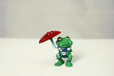 Screen green frog isolated