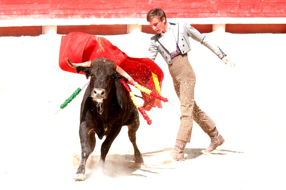 Arena toreador feria photo