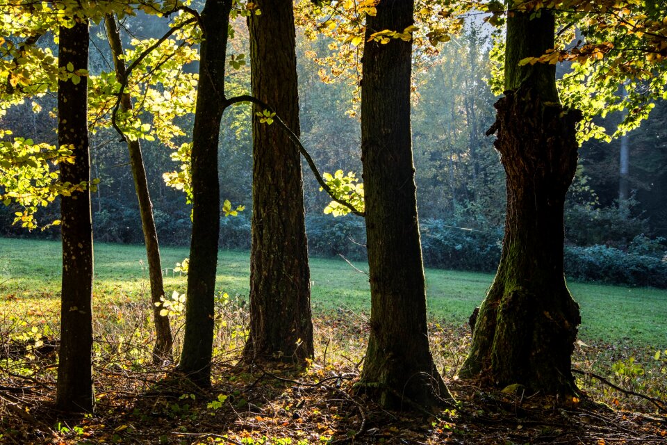 Nature contrast landscape