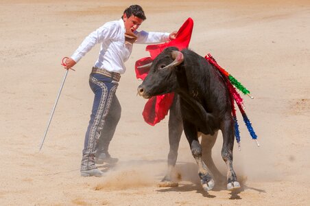 Arena toreador feria photo