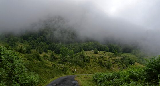 Landscape nature path
