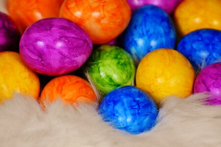 Colorful easter easter nest photo