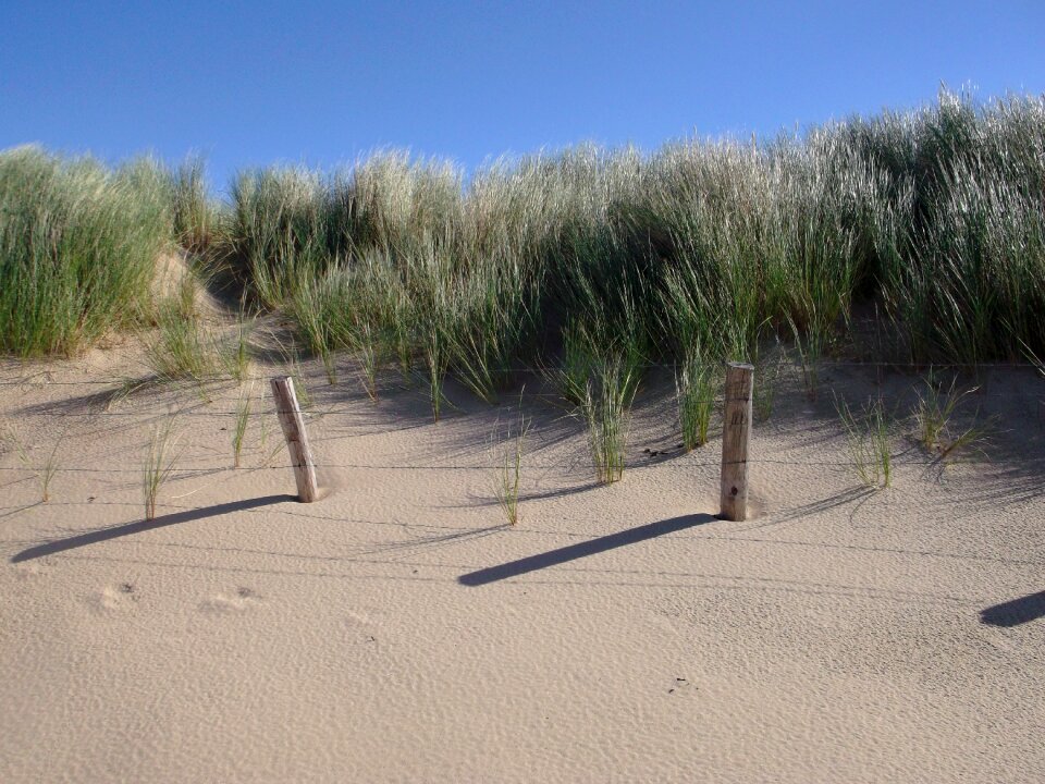 Sand sea north sea