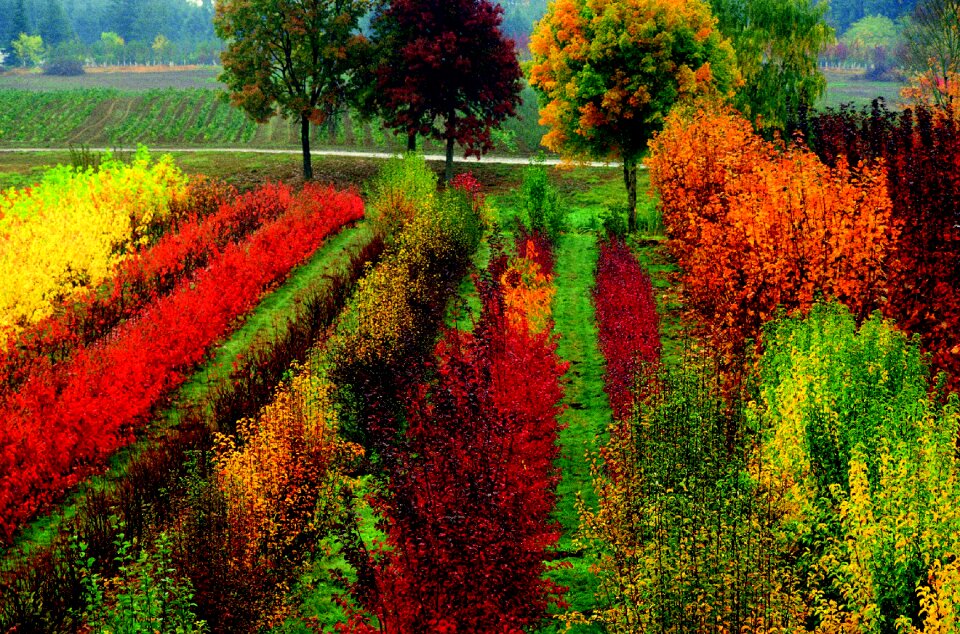 Landscape autumn colors