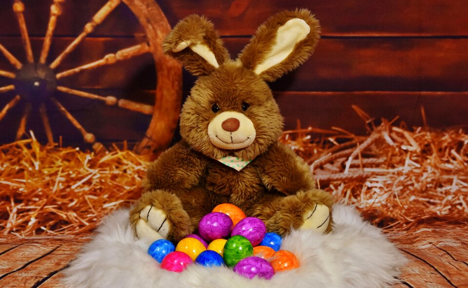 Colorful easter easter eggs