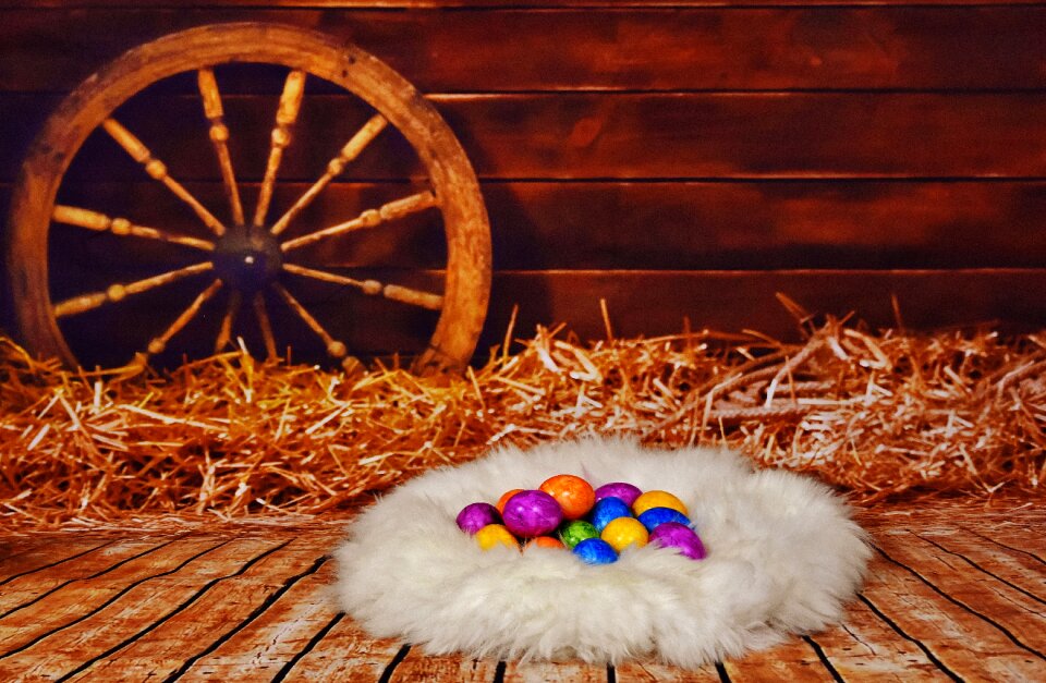 Hay lambskin happy easter
