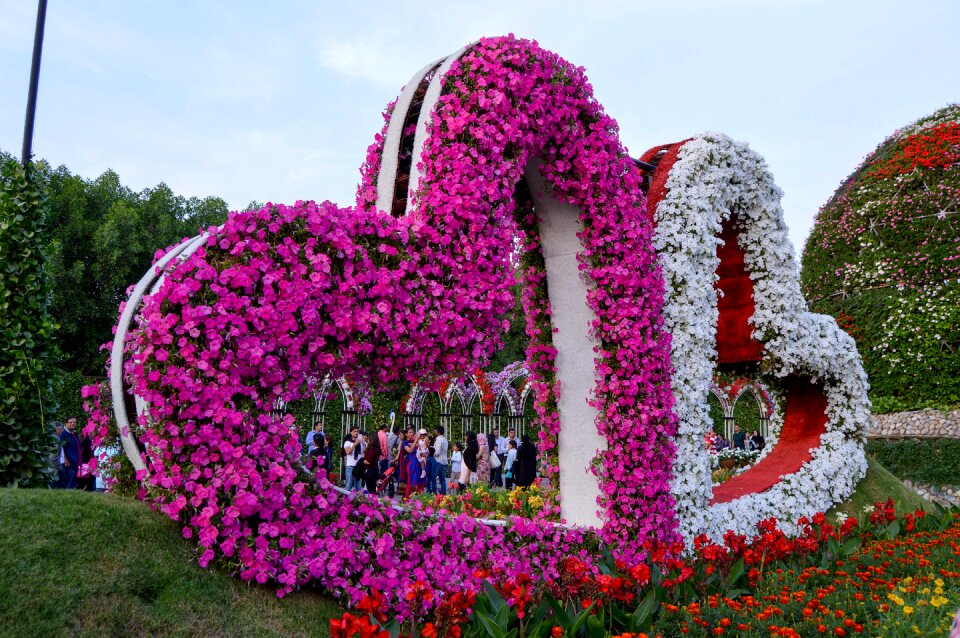 Heart shape flowers flowers heart heart