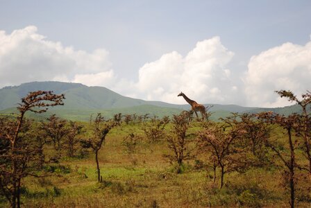 Africa reserve travel