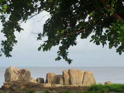Cayenne french guiana coastal views