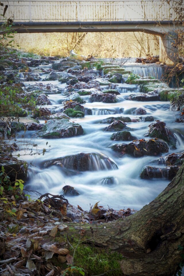 Nature landscape flow