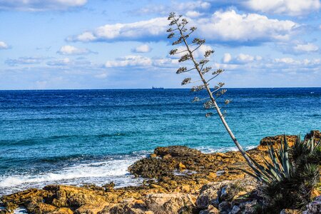 Sea sky nature