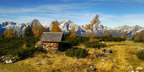 Alpine nature panorama