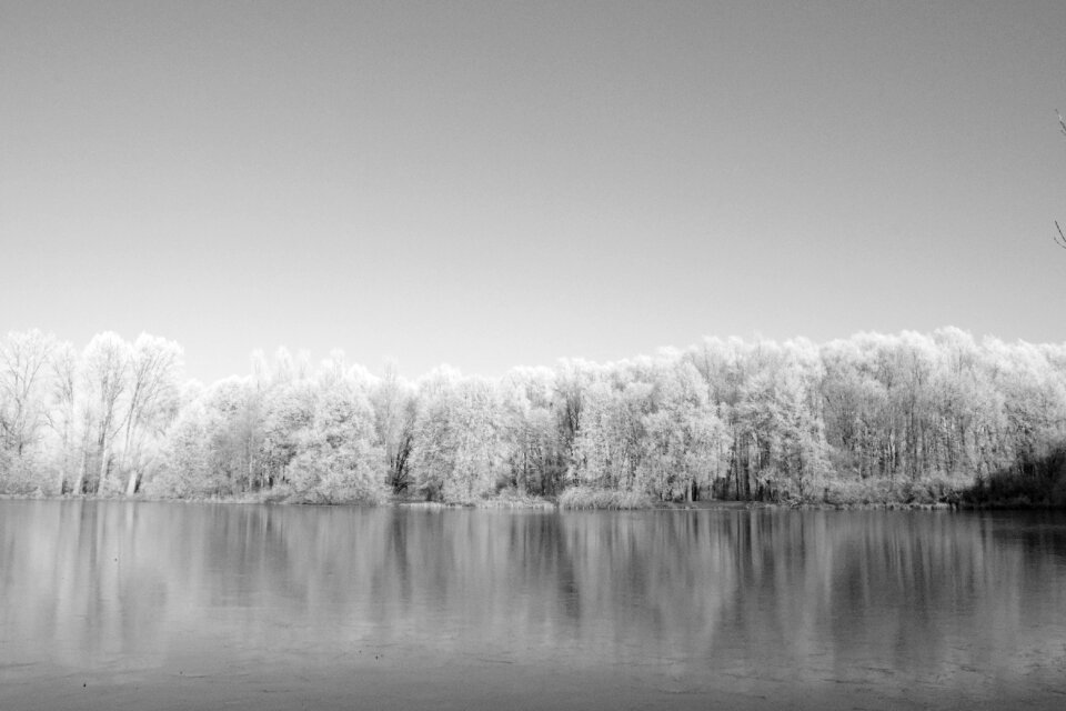 Winter wintry frost