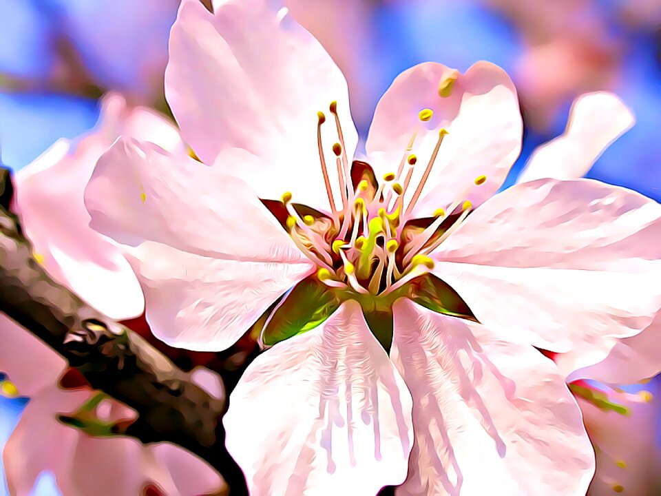 Digital painting spring flowers