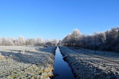 Frost hoarfrost sky