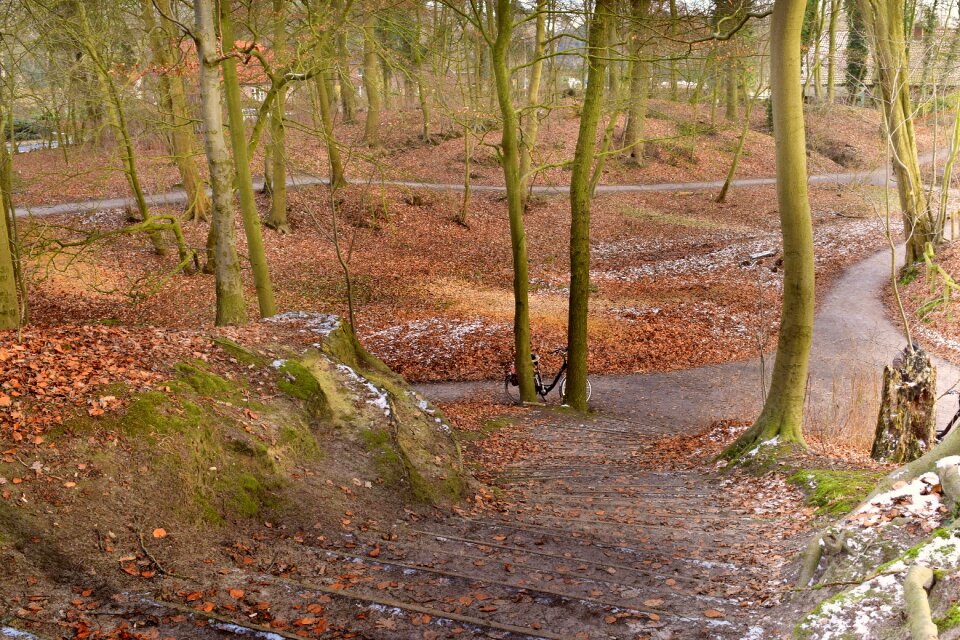 Stairs gradually landscape