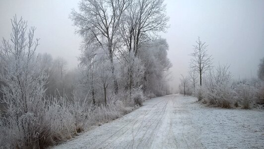 Snowy eiskristalle frost photo