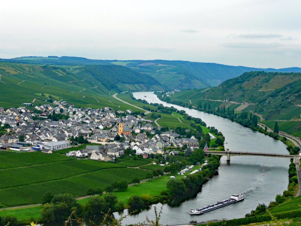 Germany wine vineyards