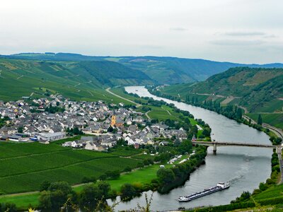 Germany wine vineyards